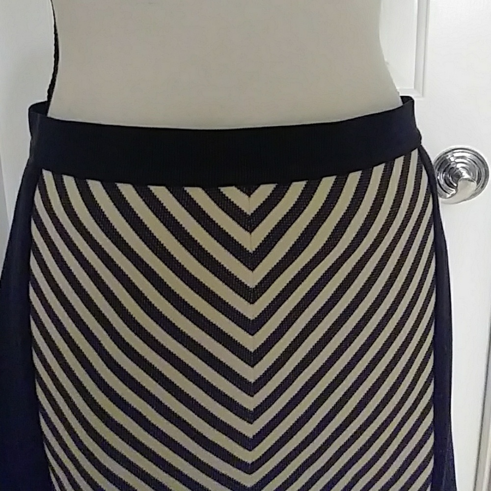 Ann Taylor Skirt NWT - Picture 6 of 9